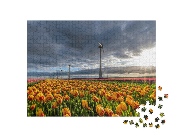 Puzzel 1000 stukjes „Veld met gele en rode Triumph tulpen (variëteit 'Striped Belona') in Flevoland“