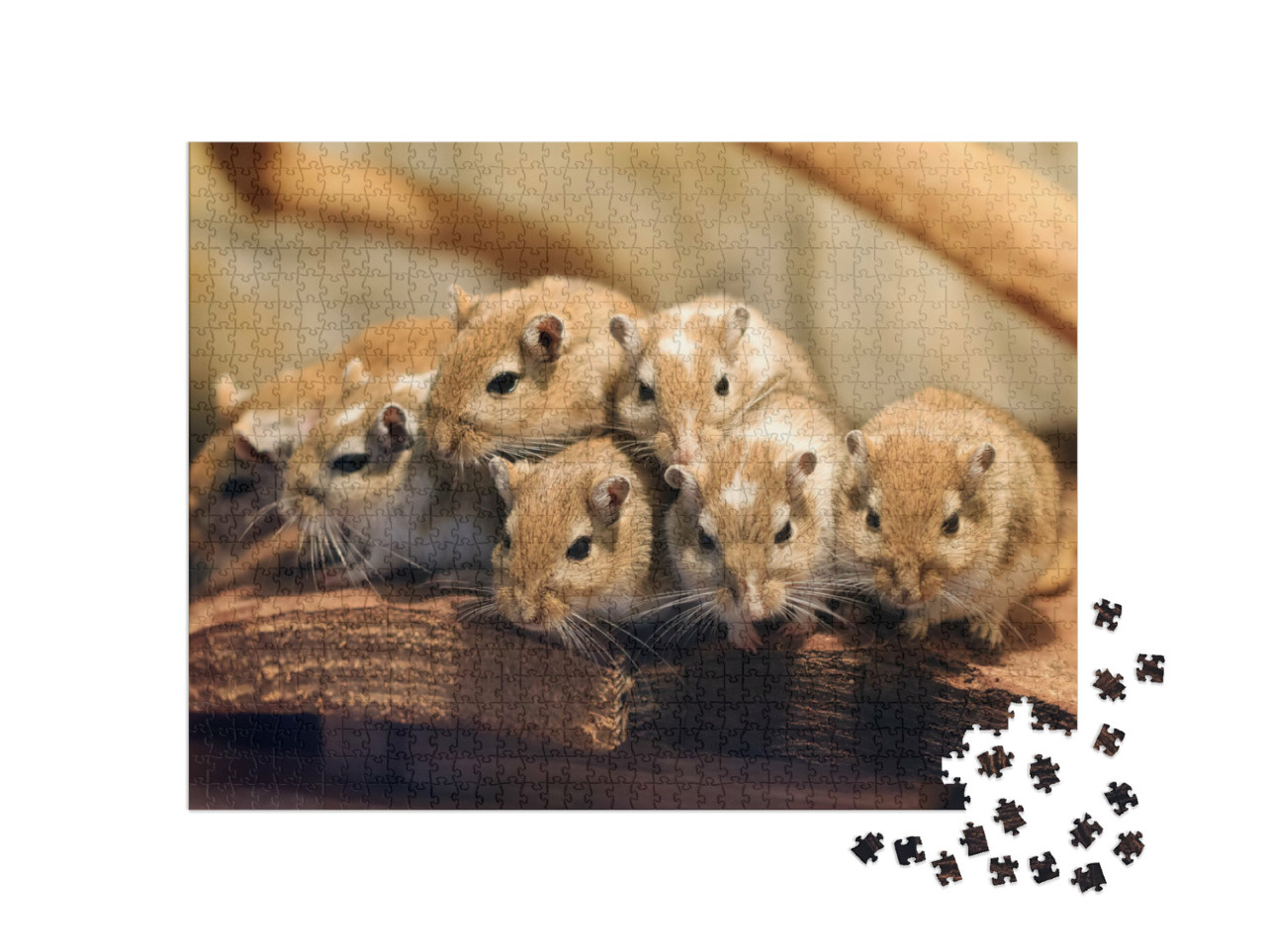 Puzzel 1000 stukjes „Mongoolse gerbils in een dicht opeengepakte groep“