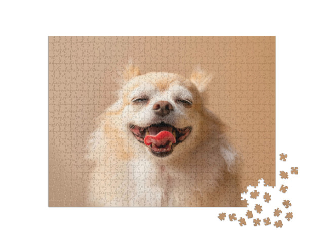 Puzzel 1000 stukjes „Bruine chihuahua“