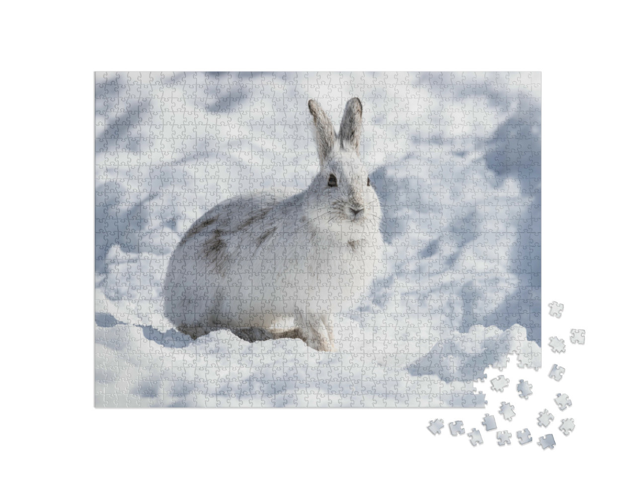 Puzzel 1000 stukjes „Witte sneeuwschoenhaas in de winter“