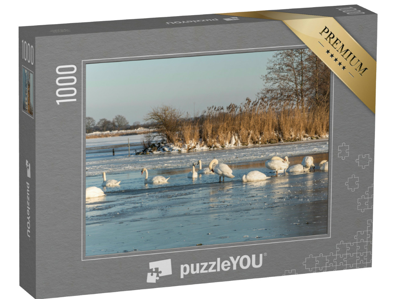 Puzzel 1000 stukjes „Zwanen zwemmen in een gat in het ijs van het bevroren Veluwemeer bij Nunspeet“