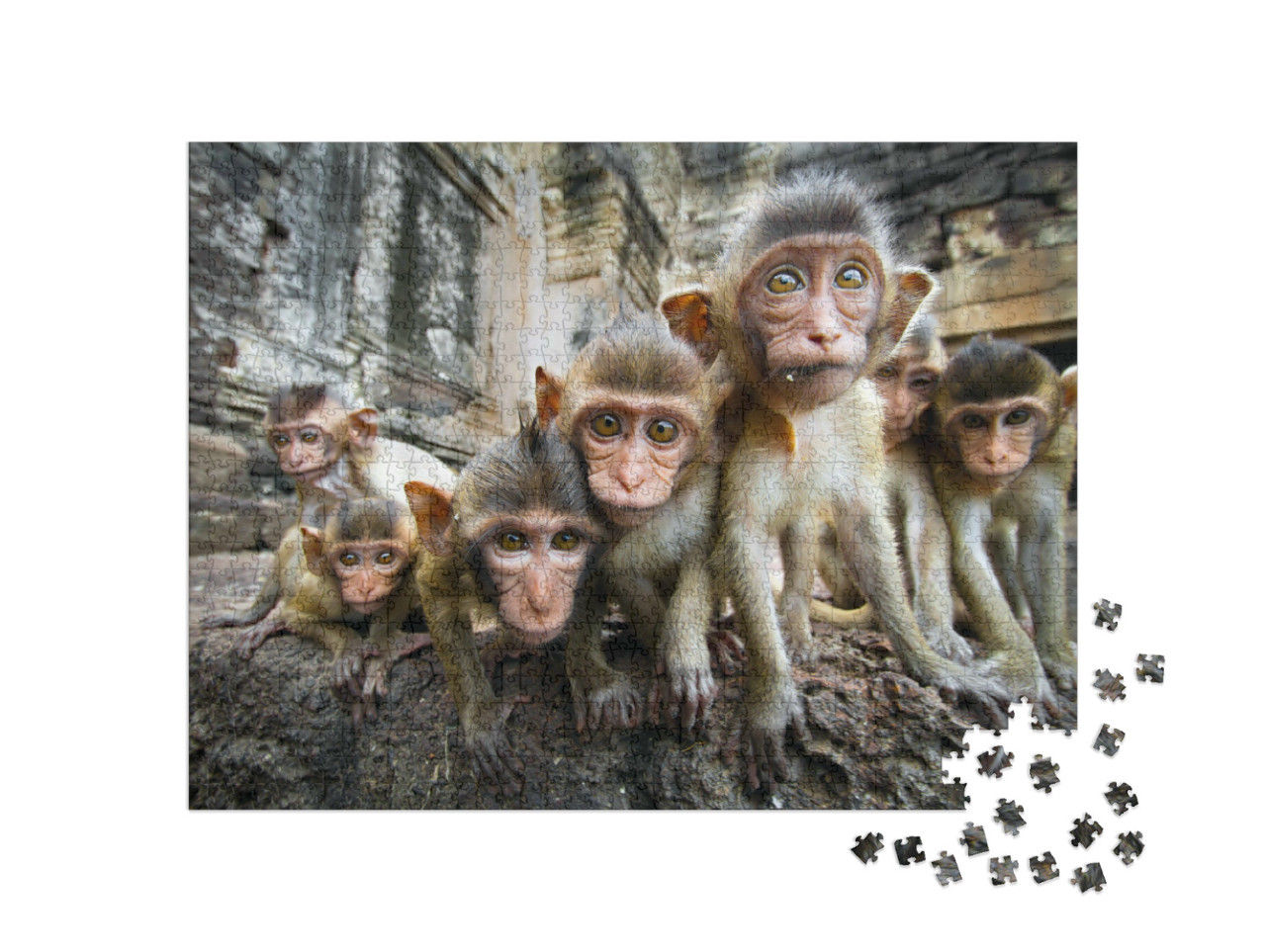 Puzzel 1000 stukjes „Nieuwsgierige babyaapjes, Lopburi, Thailand“