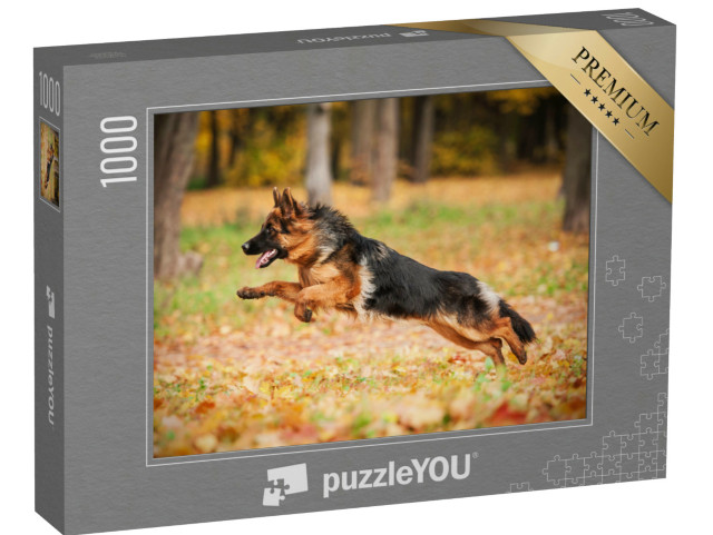 Puzzel 1000 stukjes „Duitse herdershond spelend in de herfst“