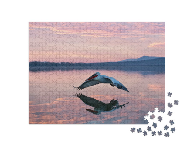 Puzzel 1000 stukjes „Pelikaan bij zonsopgang“