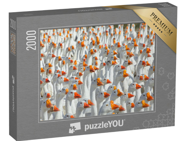 Puzzel 2000 stukjes „Enorme troep witte ganzen“