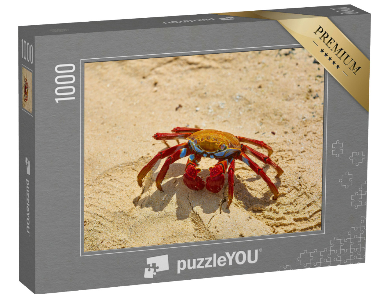 Puzzel 1000 stukjes „Sally Lightfoot krab op geel zand, Galapagoseilanden, Ecuador“