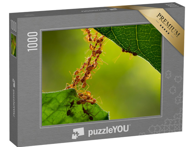 Puzzel 1000 stukjes „Een mierenbrug“