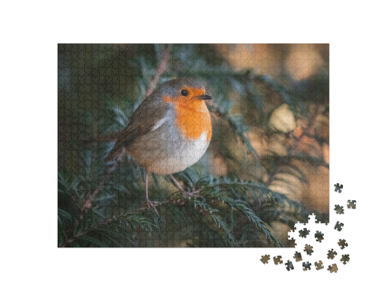 Puzzel 1000 stukjes „Een schattig roodborstje“