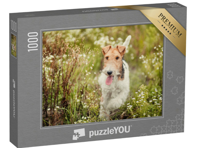 Puzzel 1000 stukjes „Fox Terrier in de natuur“