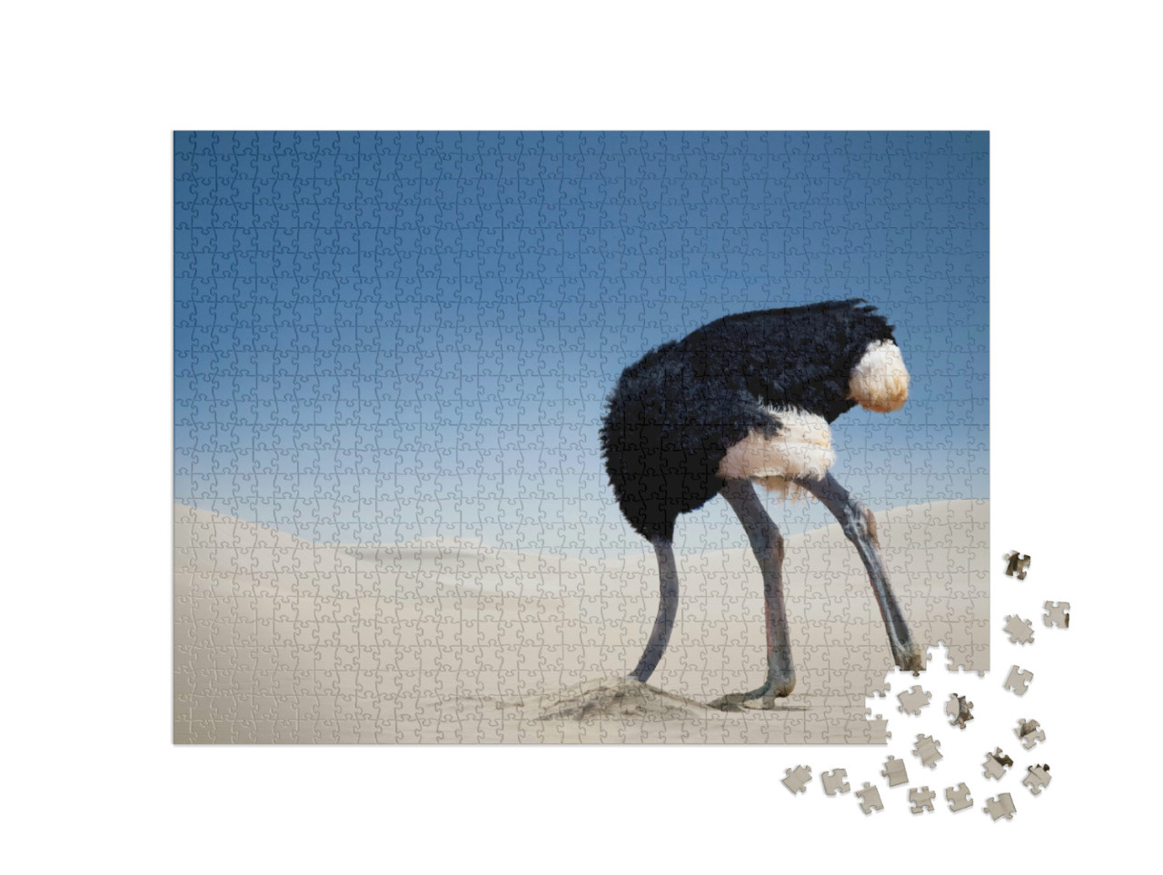 Puzzel 1000 stukjes „Struisvogel begraaft zijn kop in het zand, Tsavo East National Park, Kenia, Afrika“