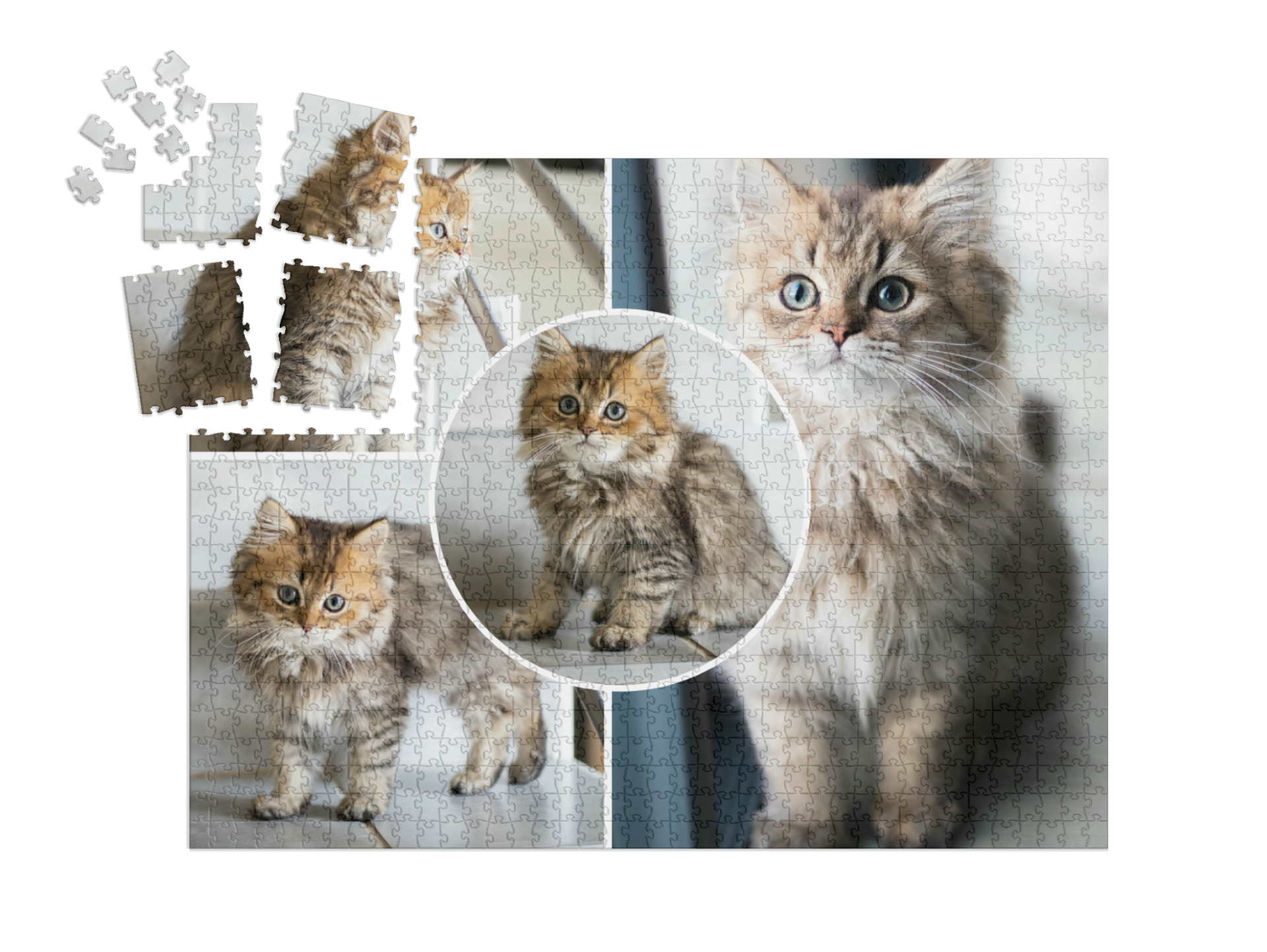 Puzzelcollage