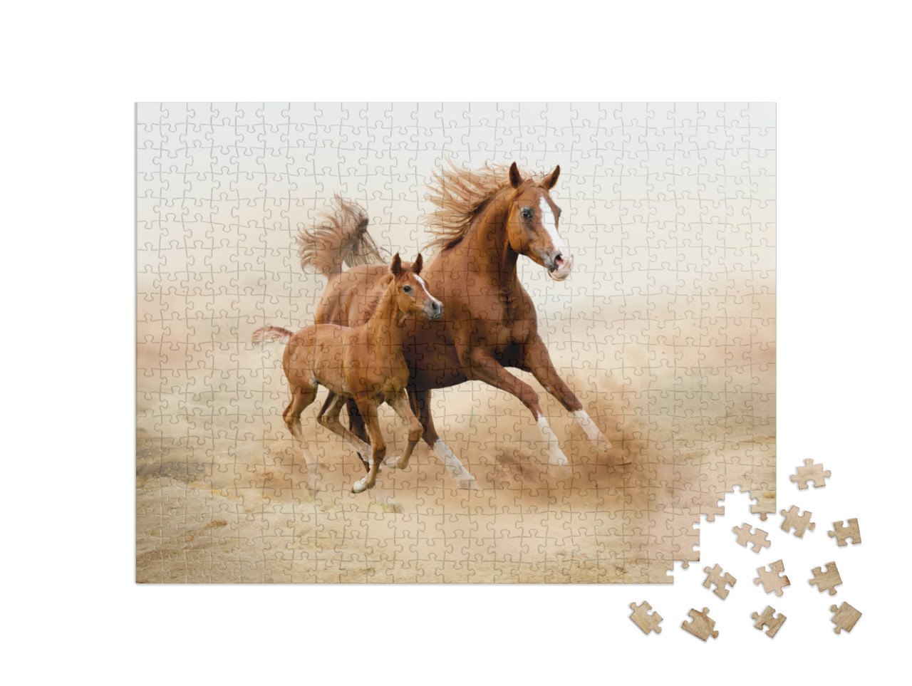 Puzzel 500 stukjes „Arabisch raspaard“