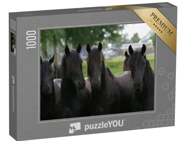 Puzzel 1000 stukjes „Friese jonge hengsten“