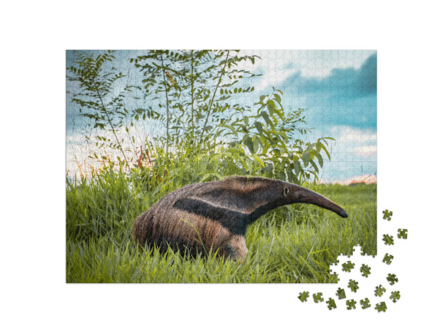 Puzzel 1000 stukjes „Een vlag miereneter op een bonito farm in Brazilië“