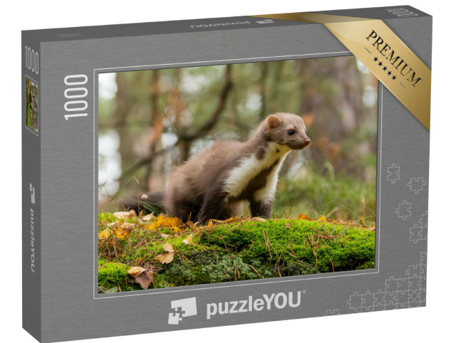 Puzzel 1000 stukjes „Een Europese boommarter“