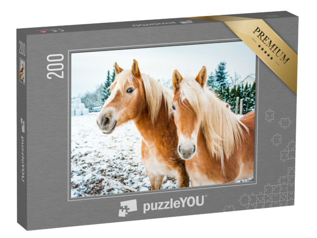Puzzel 200 stukjes „Haflinger paarden op een besneeuwde weide“