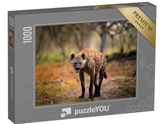 Puzzel 1000 stukjes „Gevlekte hyena op zoek naar prooi, Okavango, Botswana“