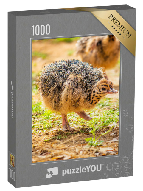 Puzzel 1000 stukjes „Portret van een babyboeket“