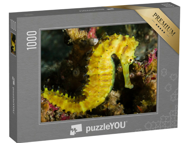 Puzzel 1000 stukjes „Zeepaardje op een koraalrif, Thailand“
