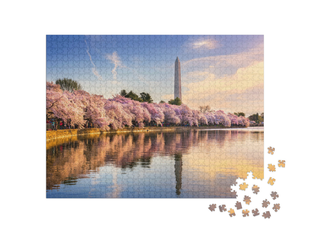 Puzzel 1000 stukjes „Getijdenbekken met Washington Monument in de lente, Washington DC, VS“