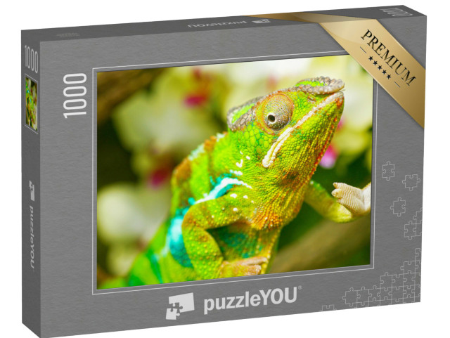 Puzzel 1000 stukjes „Kleurrijke kameleon“