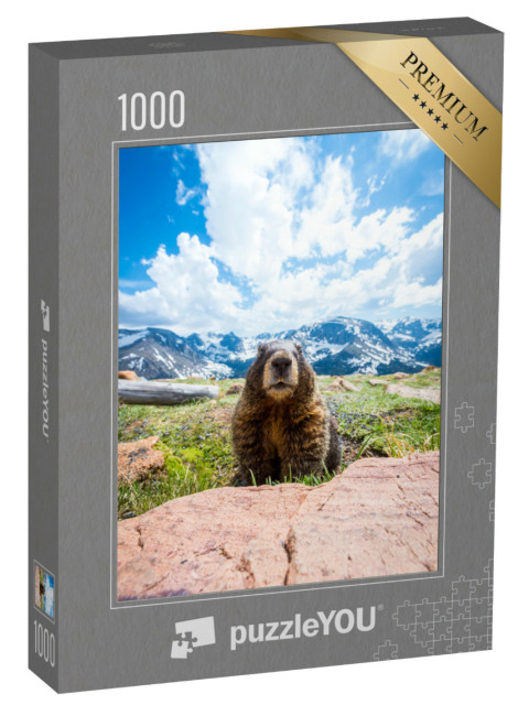 Puzzel 1000 stukjes „Een nieuwsgierige marmot in Rocky Mountain National Park, Californië“