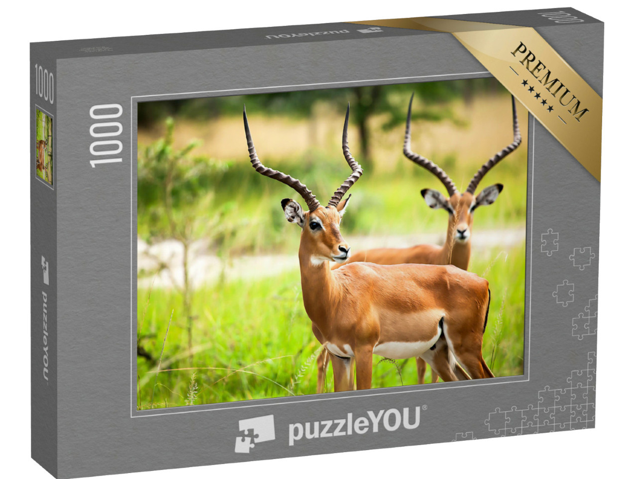 Puzzel 1000 stukjes „Impala antilopen in het wild in Oeganda“
