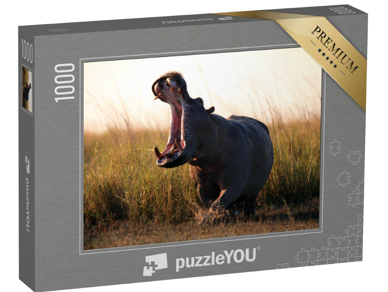 Puzzel 1000 stukjes „Het nijlpaard, Hippopotamus amphibius“