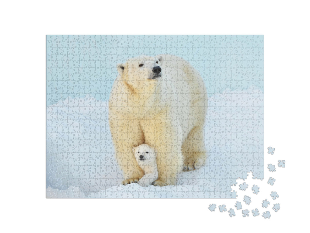 Puzzel 1000 stukjes „Een ijsbeer met een klein berenjong in de sneeuw“