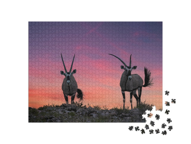 Puzzel 1000 stukjes „Twee grote antilopen met spectaculaire horens, Kalahari“