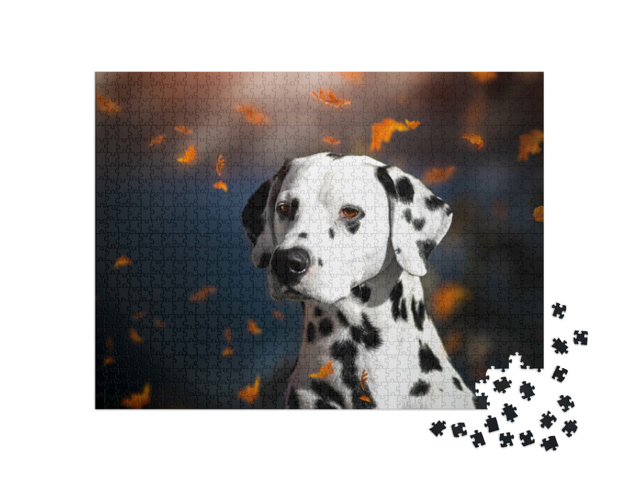 Puzzel 1000 stukjes „Portret van een dalmatiër in de herfst“