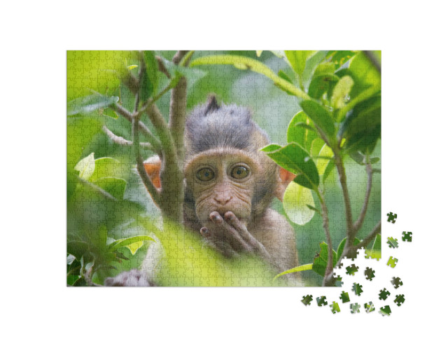 Puzzel 1000 stukjes „Een aap in een bos in Thailand“