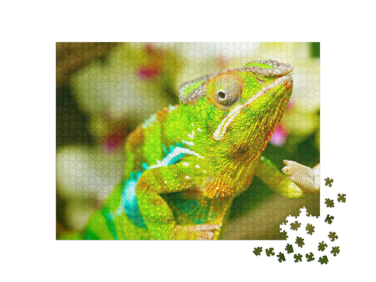 Puzzel 1000 stukjes „Kleurrijke kameleon“