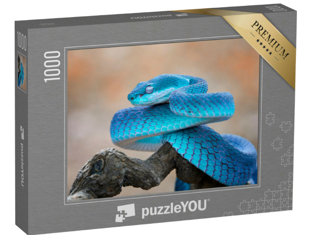 Puzzel 1000 stukjes „Blauwe adder“