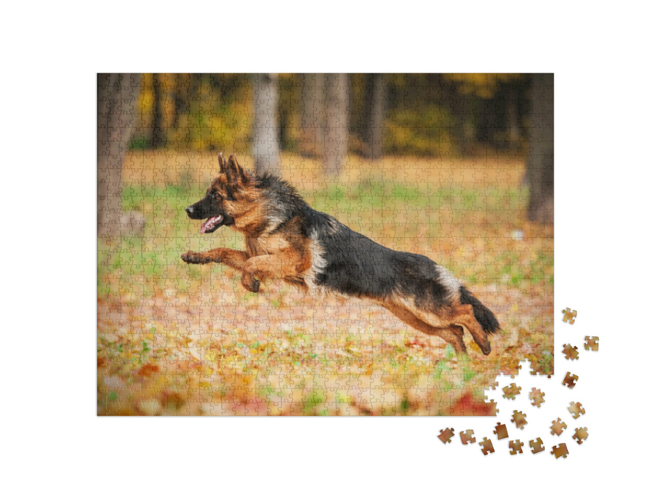 Puzzel 1000 stukjes „Duitse herdershond spelend in de herfst“