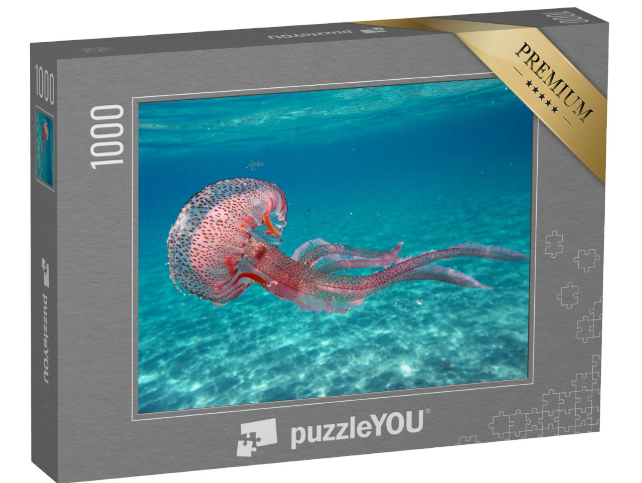 Puzzel 1000 stukjes „Pelagia noctiluca kwal in de zee bij het eiland Elba“