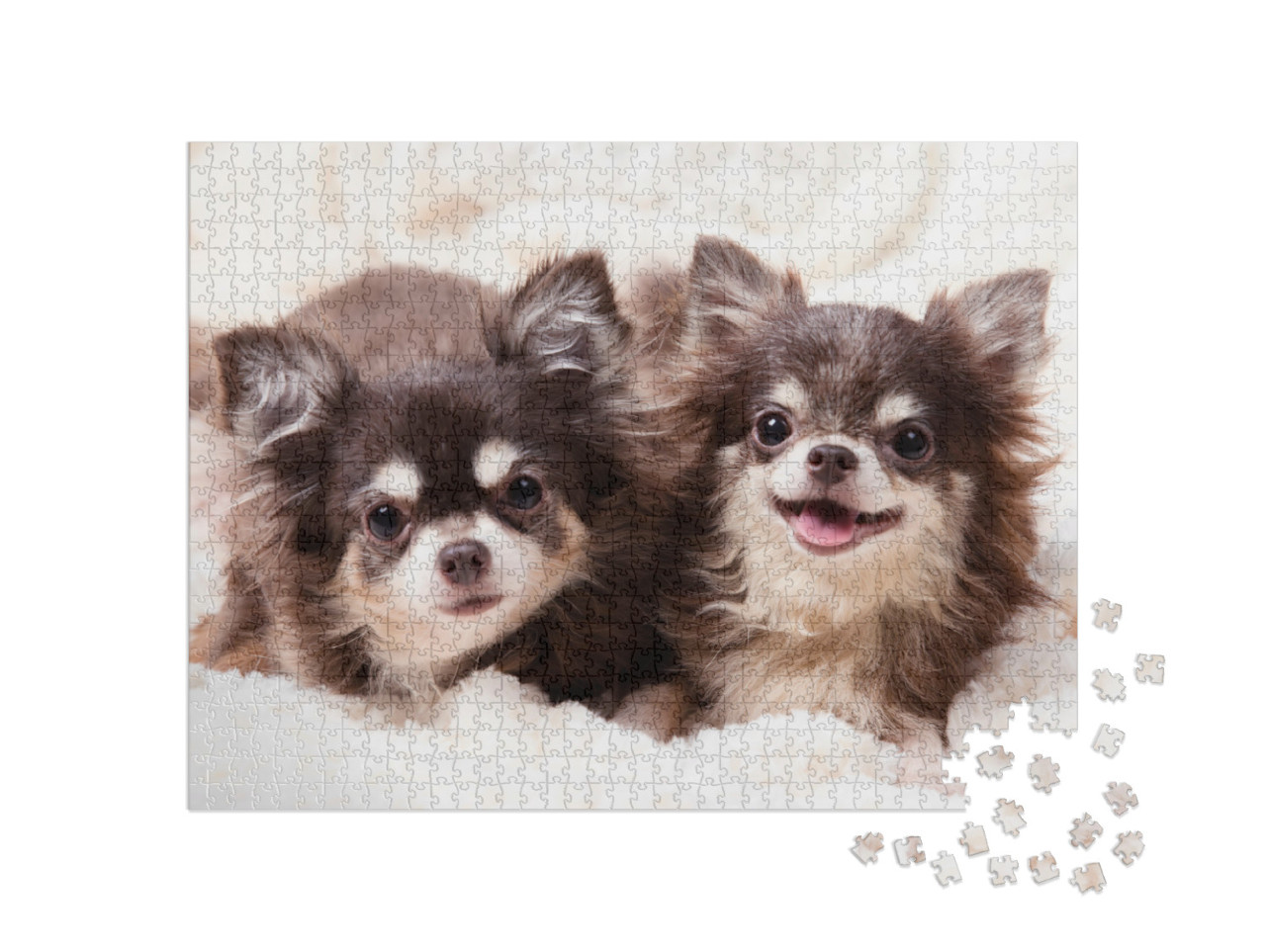 Puzzel 1000 stukjes „Schattige Chihuahua hondjes op een deken“