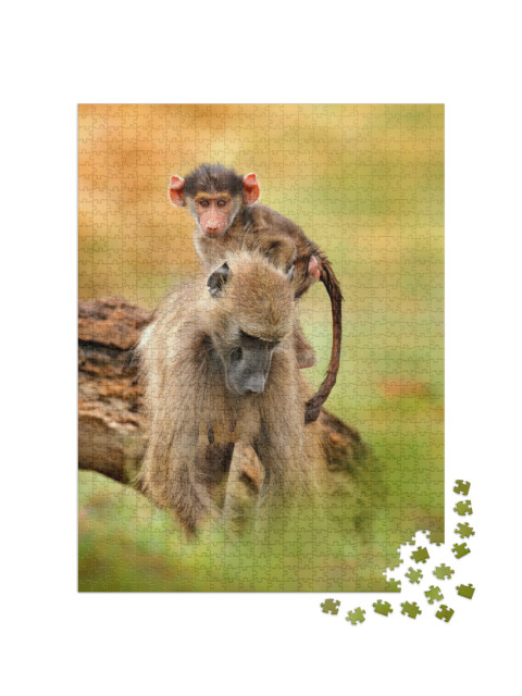 Puzzel 1000 stukjes „Chacma baviaan vrouwtje met jong, Okavango Delta, Botswana“