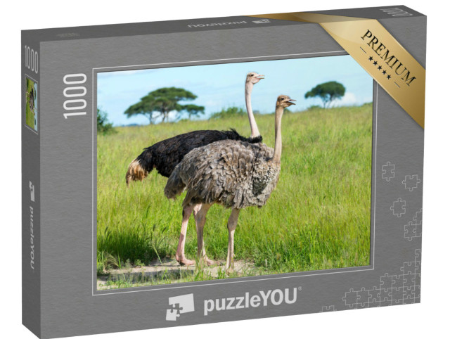 Puzzel 1000 stukjes „Struisvogelpaar in Tanzania, Afrika“