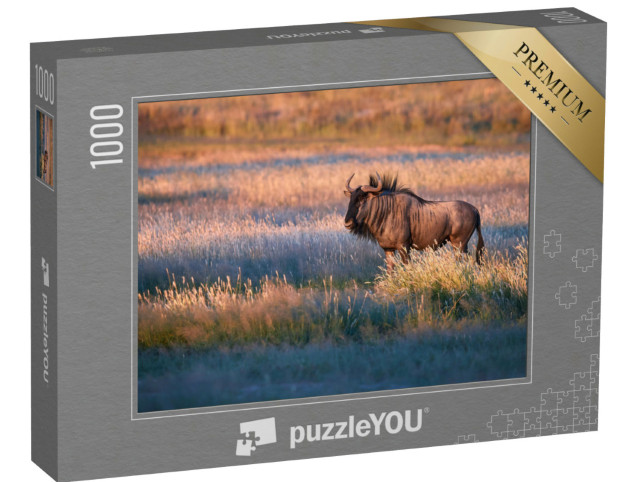 Puzzel 1000 stukjes „Blauwe gnoes in het avondlicht van de Kalahari-savanne“