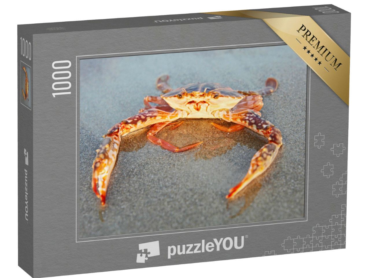 Puzzel 1000 stukjes „Rode krab op het strand in Goa, India“