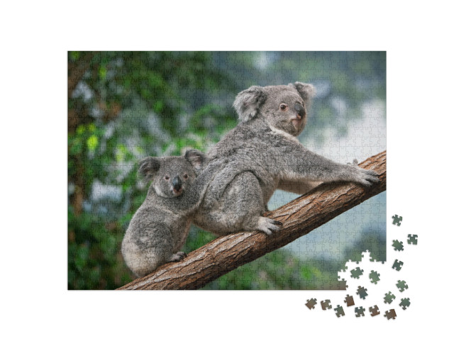 Puzzel 1000 stukjes „Vrouwelijke koala met welp“