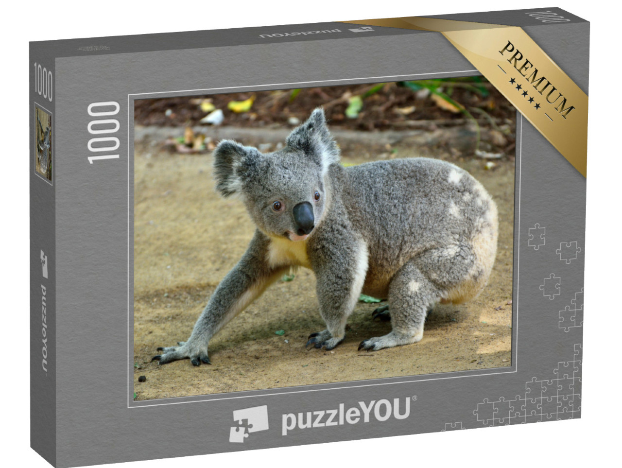 Puzzel 1000 stukjes „Close-up van een koala“