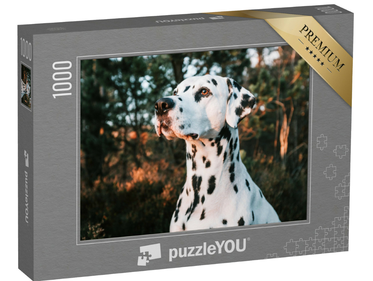 Puzzel 1000 stukjes „Een dalmatiër bij zonsondergang“
