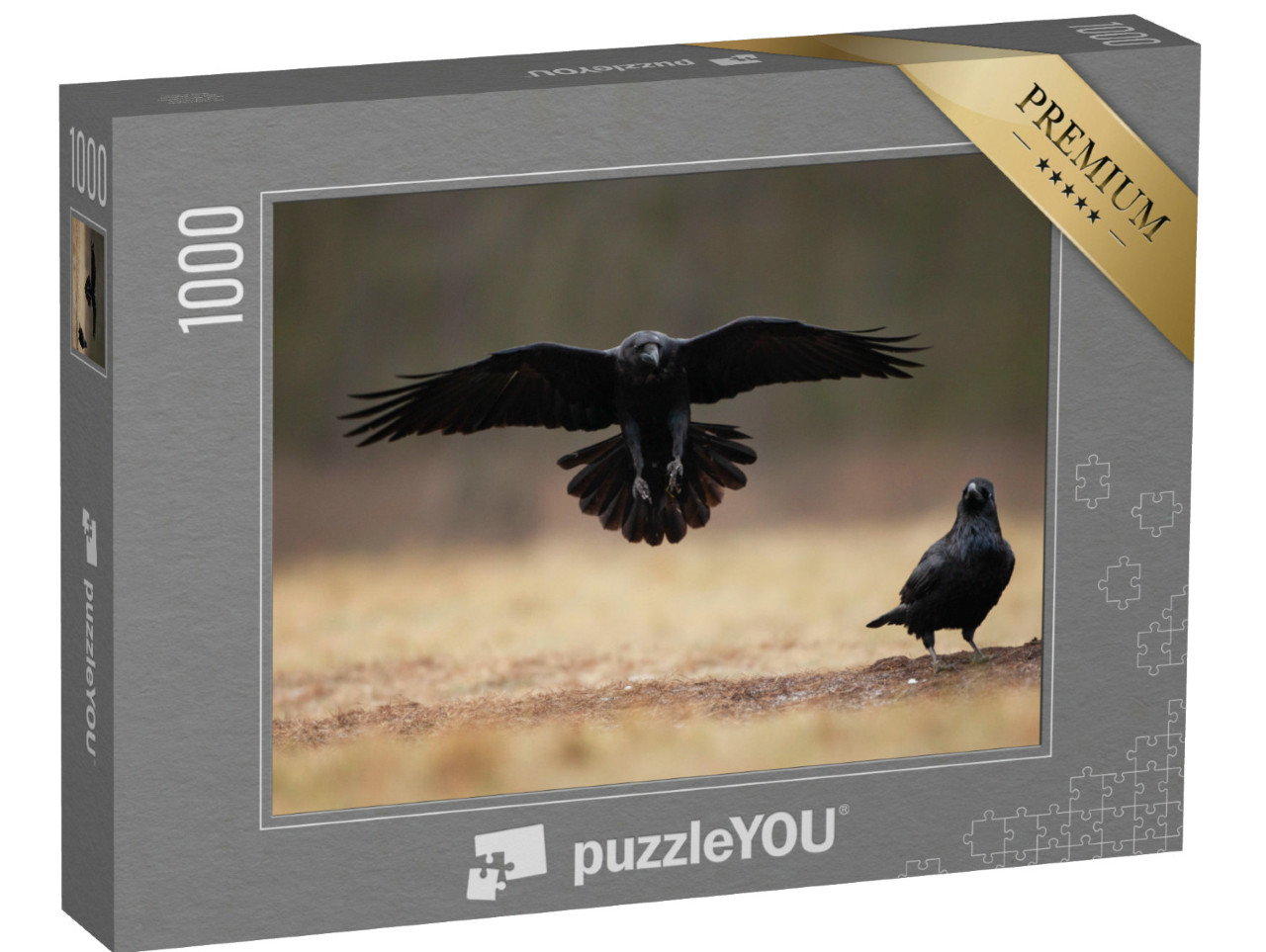 Puzzel 1000 stukjes „Landende raaf met vleugels wijd open“