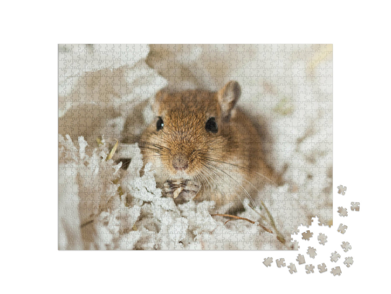 Puzzel 1000 stukjes „Schattige kleine mongoolse gerbil“