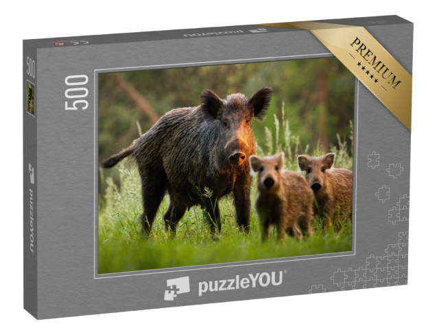 Puzzel 500 stukjes „Familie van wilde zwijnen met jonge zwijnen“