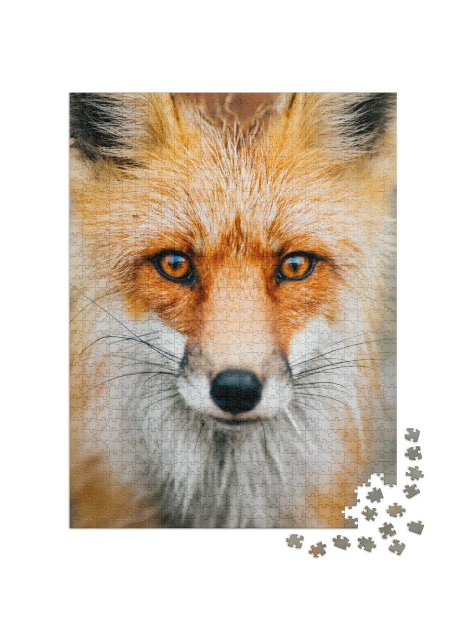 Puzzel 1000 stukjes „Close-up: aandachtige kleine wilde vos“