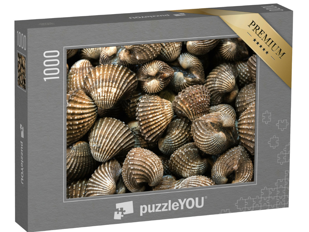 Puzzel 1000 stukjes „Schalen op ijs“