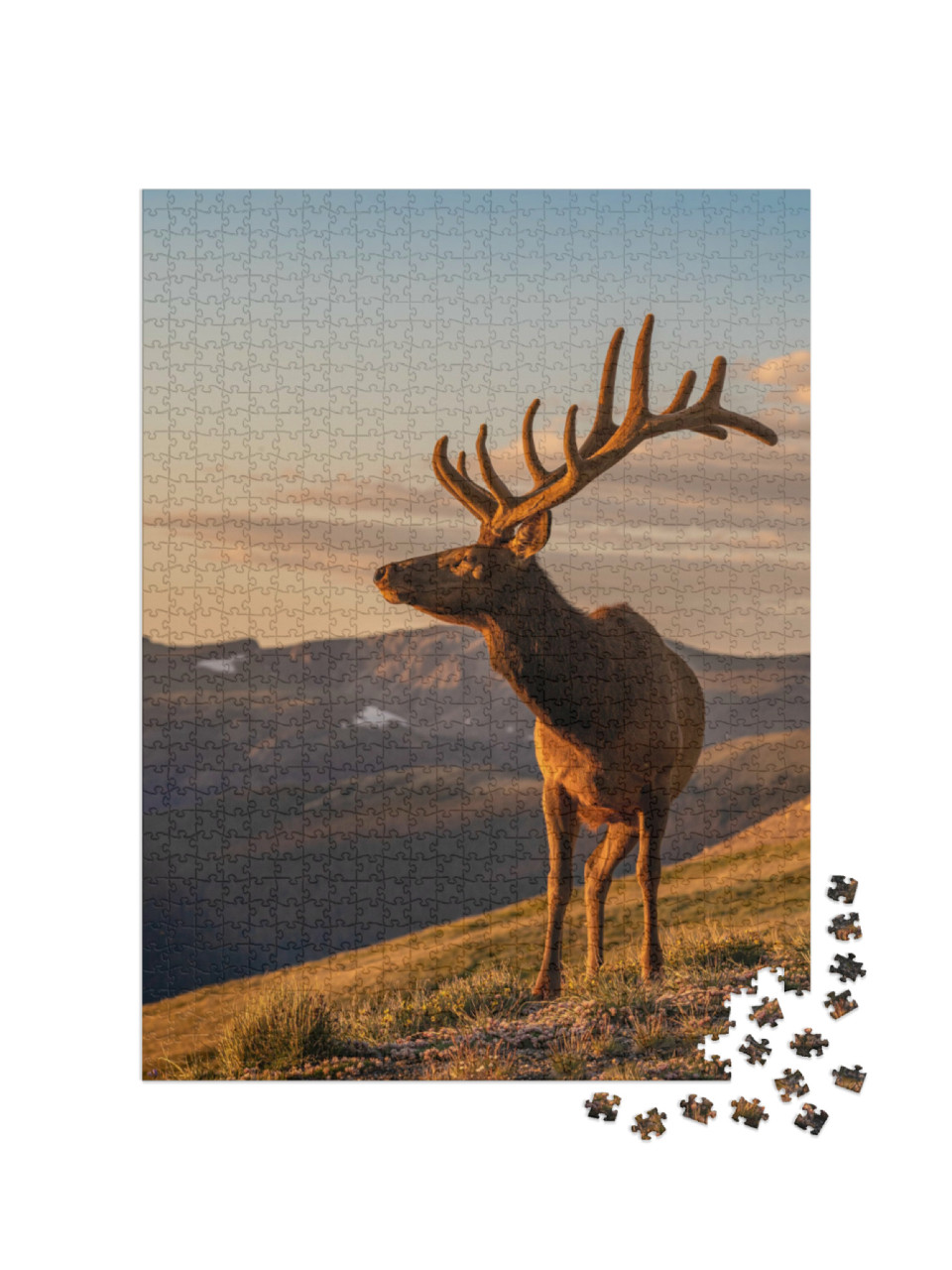 Puzzel 1000 stukjes „Wilde eland“